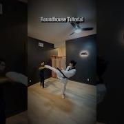 Taekwondo Roundhouse Kick Tutorial