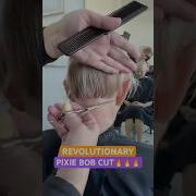 REVOLUTIONARY PIXIE BOB HAIRCUT Complete Tutorial Linked Below