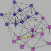 Coordination In Dynamic Network