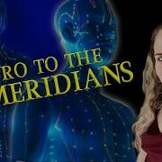 Intro To The 12 Main Meridian Systems