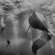 2015 National Geographic Traveler Photo Contest Winners Revealed