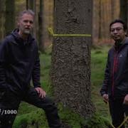 Estimating Tree Volume With Denzin S Formula And Form Factor Of A Tree