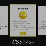 Responsive Price Card HTML CSS CSS Animation
