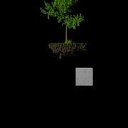 Houdini Tree Simulation Rnd