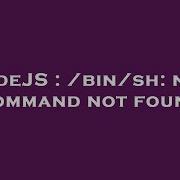 NodeJS Bin Sh Npm Command Not Found
