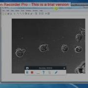 MATLAB BATCH PROCESSING IMAGE