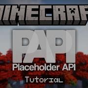 Setup PlaceholderAPI On Your Minecraft Server Tutorial
