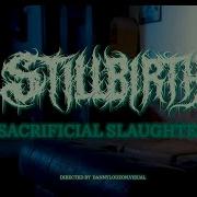 STILLBIRTH Sacrificial Slaughter Official Music Video
