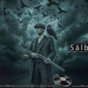 Sălbatică Стильный Вайб 2026 Hip Hop Atmospheric Mix