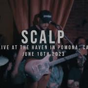 197 Media Scalp 06 16 2023