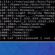 How To View All Users In Linux Shell Terminal