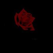 Rose Time Lapse From Birth To Death Rose