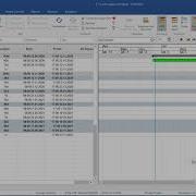 Synchro PRO Basic Gantt Display Settings
