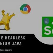 Selenium Chrome Headless