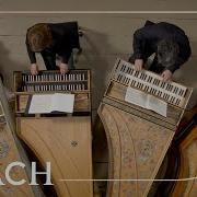Bach Concerto In A Minor BWV 1065 Netherlands Bach Society