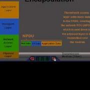 CCNA OSI Model Data Encapsulation Avi