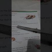 Class 1 Computer Ch 6 Using A Mouse By Anjali Saxena