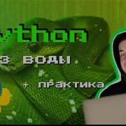 Python Speedrun Курс 3 Часа Практические Задания