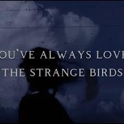 Birdy Strange Birds Lyrics