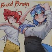 BIRDBRAIN
