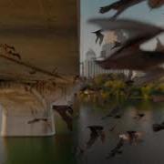 Mammals Official Trailer BBC Studios
