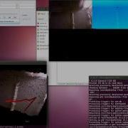 3D Tracking Of Bats Using Kinect
