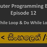 C Sinhala Tutorial 12 While Do While Loop