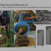 Estimating Divergent Forest Carbon Stocks And Sinks Via A Knife Set Approach