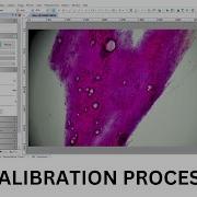 Calibration In ImageView Measurement In Microscopic Images Bestscope Microscope Microscopicimage