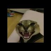 Dangerous Woman Sped Up