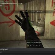 CoD 4 Speedrun Mod Any World Record 29 43 49