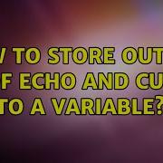 How To Store Output Of Echo And Cut To A Variable 2 Solutions