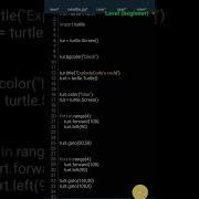 Crazy Python Turtle 3d Shape Drawing Easy