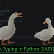 Duck Typing In Python In 4 Minutes