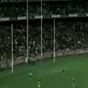 Essence Of Essendon It S My Life