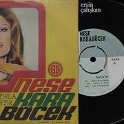 Neşe Karaböcek Hatırla Sevme Beni Artık 1973 45 Lik