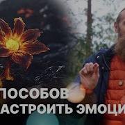 5 способов преобразовать негативные эмоции в позитивные Иммунитет к трудностям