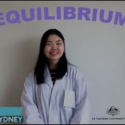 EQUILIBRIUM MODEL