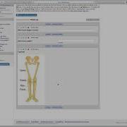 REDCap 101 Part 5 Building A Second Instrument And Additional Field Types