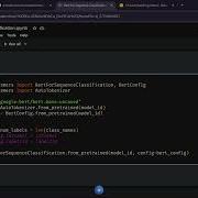 BERT For Text Classification HuggingFace Tutorial For Beginners Transformers Finetuning Easy