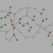 Force Directed Graph My Experiment