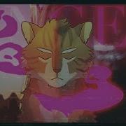 ANGEL Redberry PMV