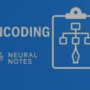 Data Encoding Explained One Hot Encoding Vs Label Encoding Guide For Machine Learning Ml