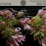 BLOB TRACK INSTANCING AUDIOREACTIVE TOUCHDESIGNER TUTORIAL