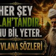 HZ MEVLANA SÖZLERİ NE ARARSAN KENDİNDE ARA