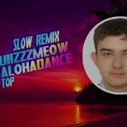Quiizzzmeow Alohadance Remix