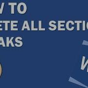 Delete All Section Breaks At Once