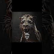 Taka And Mufasa VS Kiros Lionking Mufasa Taka Kiros 4k Edit