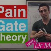 Pain Gate Theory