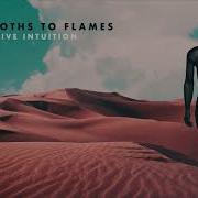 Like Moths To Flames Instinctive Intuition